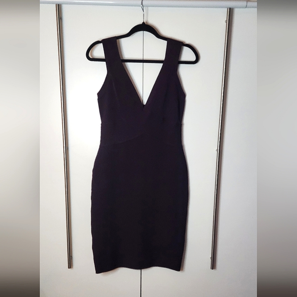 Babaton bodycon dress from Aritzia